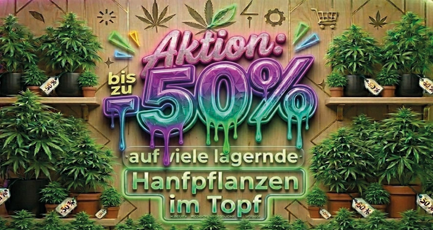Aktion Topfpflanzen -50%